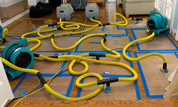 Professional Sewage Cleanup technician working in Olympia, SC